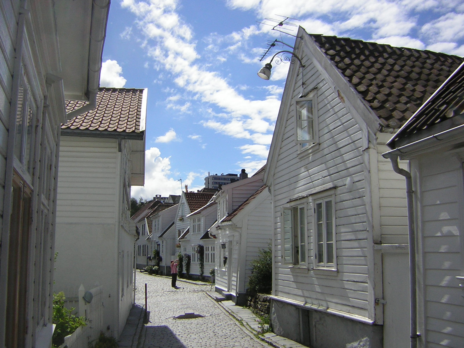 norsko,cervenec 2008 152.jpg
