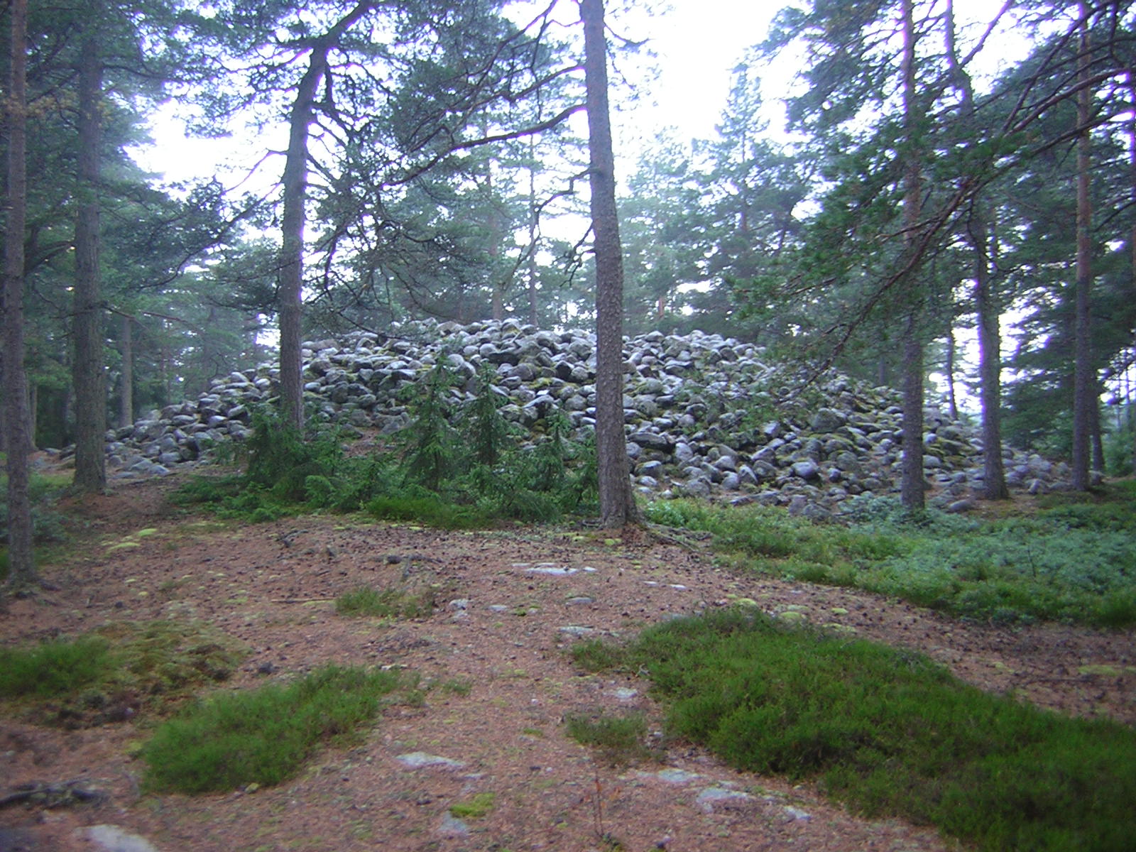 norsko,cervenec 2008 003.jpg